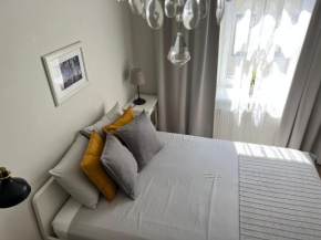 Renovated apartment in Riga center